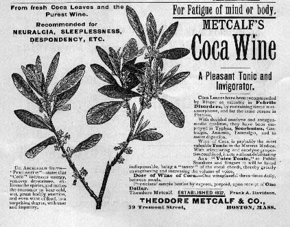 coca3.jpg