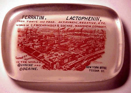 coca7.jpg